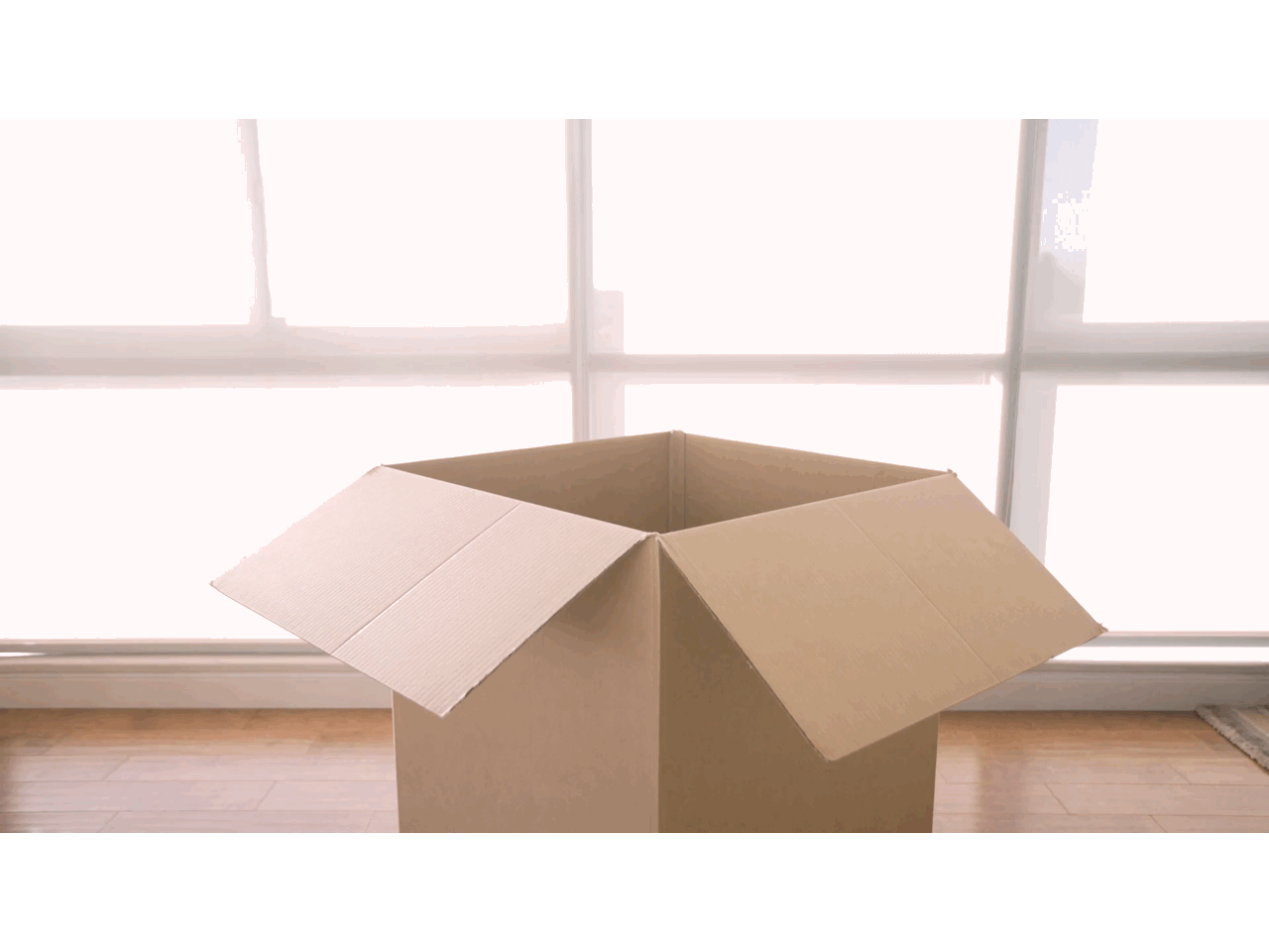 Box-GIF
